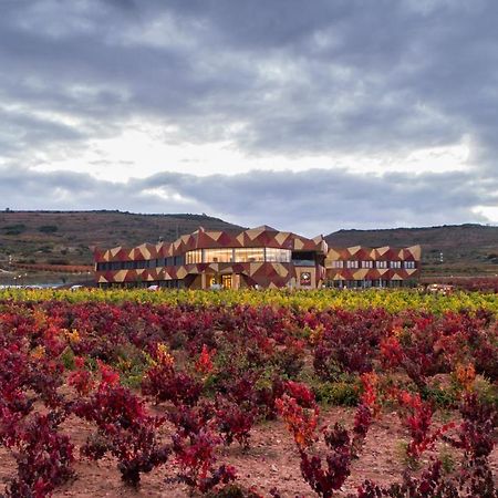 Hotel Bodega Fya - Grupo Pierola Navarrete Exteriör bild
